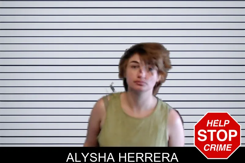 Alysha Herrera mugshot