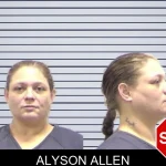 Alyson Allen mugshot