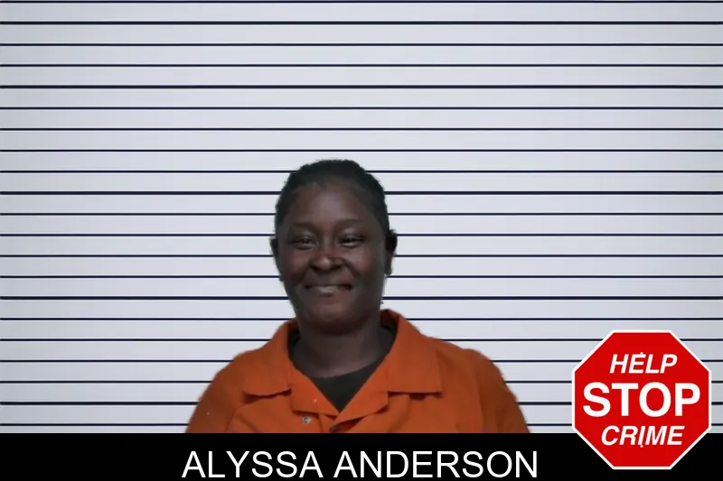 Alyssa Anderson mugshot