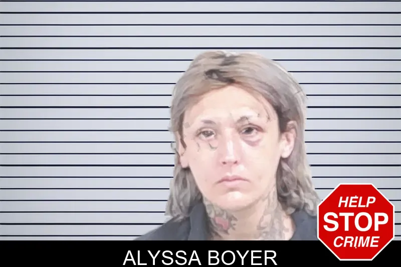 Alyssa Boyer mugshot