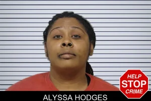 Alyssa Hodges mugshot