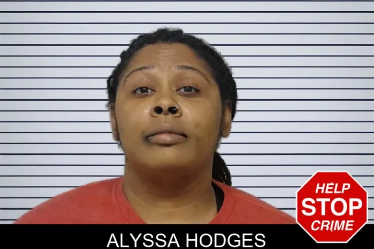 Alyssa Hodges mugshot – Bibb County , Georgia Alyssa Hodges