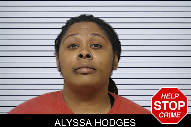 Alyssa Hodges mugshot