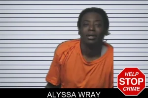 Alyssa Wray mugshot