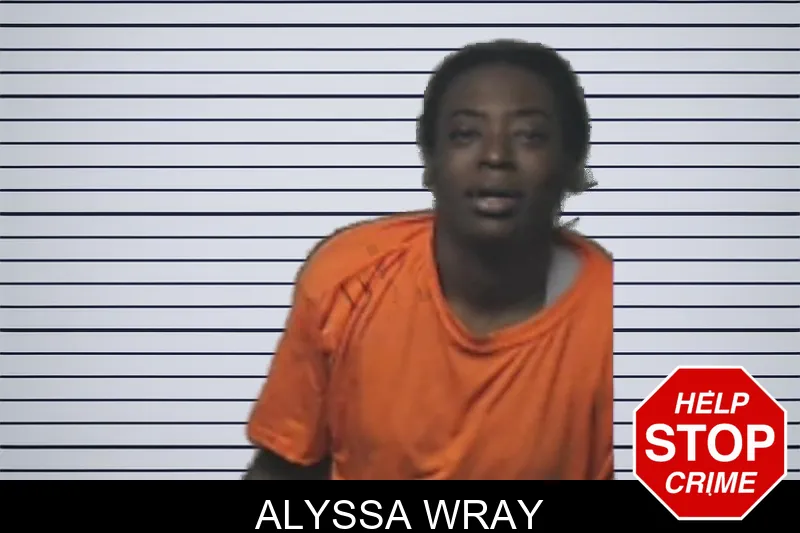 Alyssa Wray mugshot