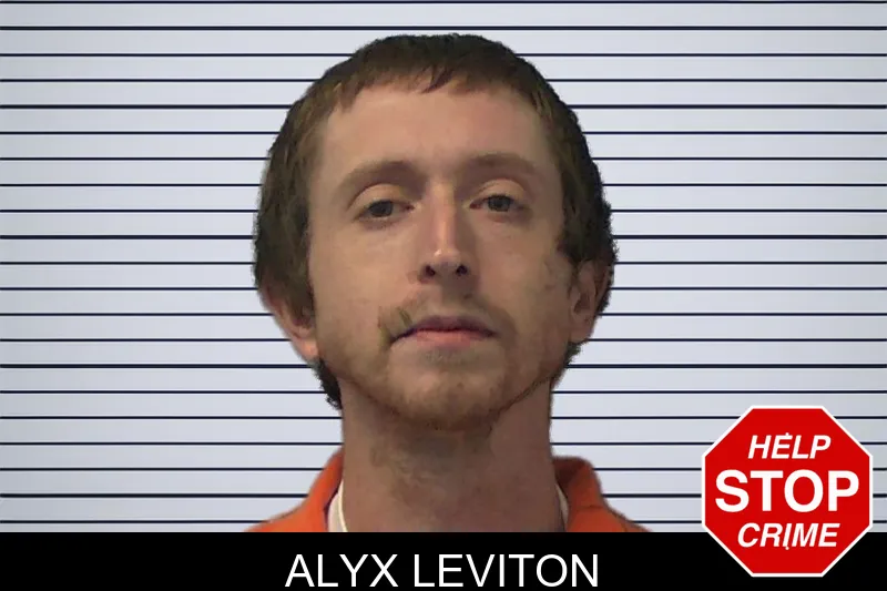 Alyx Leviton mugshot