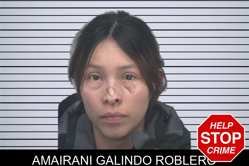 Amairani Galindo Roblero mugshot