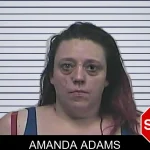 Amanda Adams mugshot