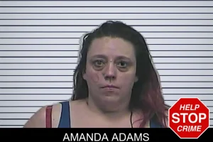 Amanda Adams mugshot