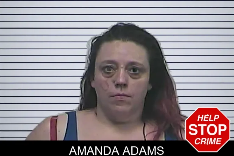 Amanda Adams