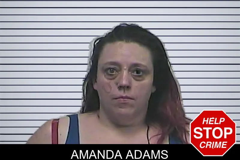 Amanda Adams mugshot
