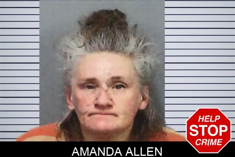 Amanda Allen mugshot – White County , Georgia Amanda Allen