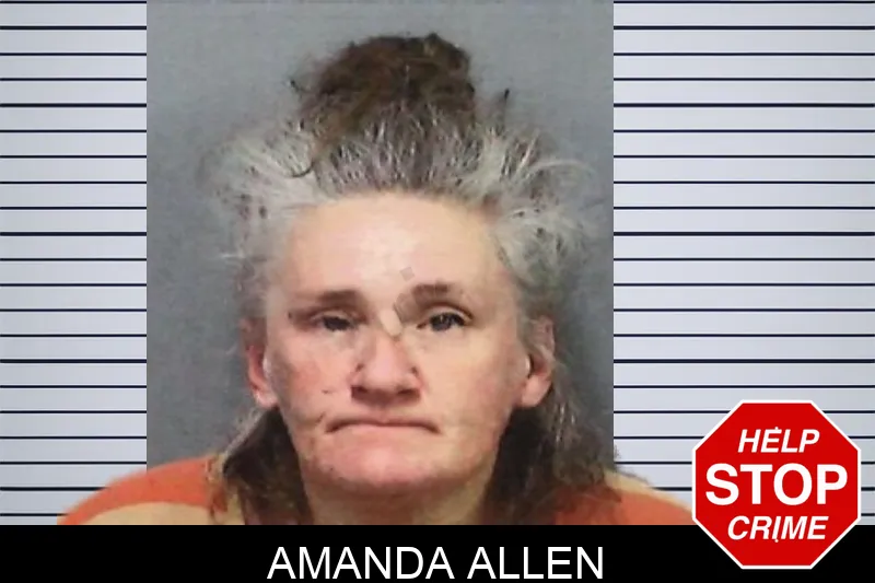 Amanda Allen mugshot