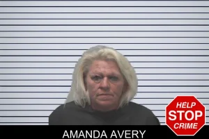 Amanda Avery mugshot