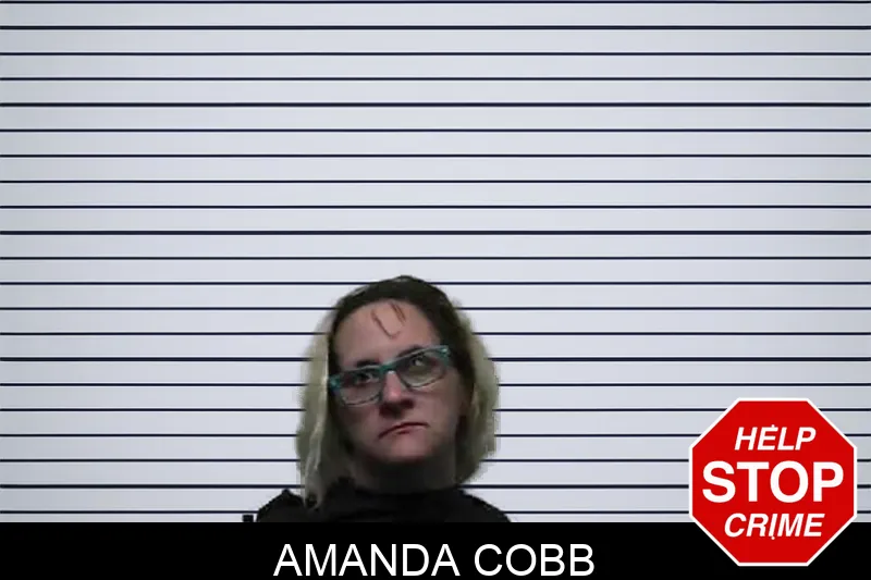 Amanda Cobb mugshot