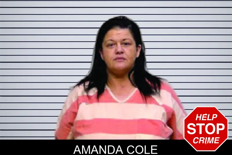 Amanda Cole mugshot
