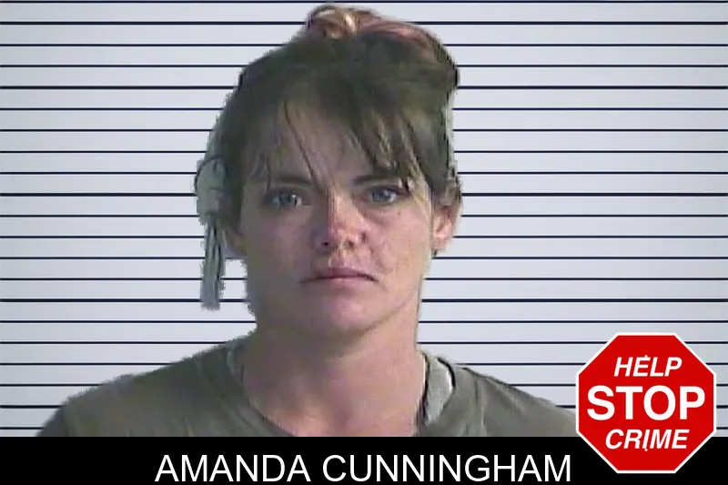 Amanda Cunningham mugshot