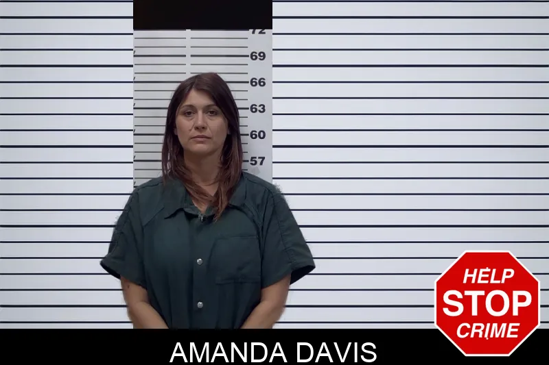 Amanda Davis mugshot – Irwin County , Georgia Amanda Davis mugshot