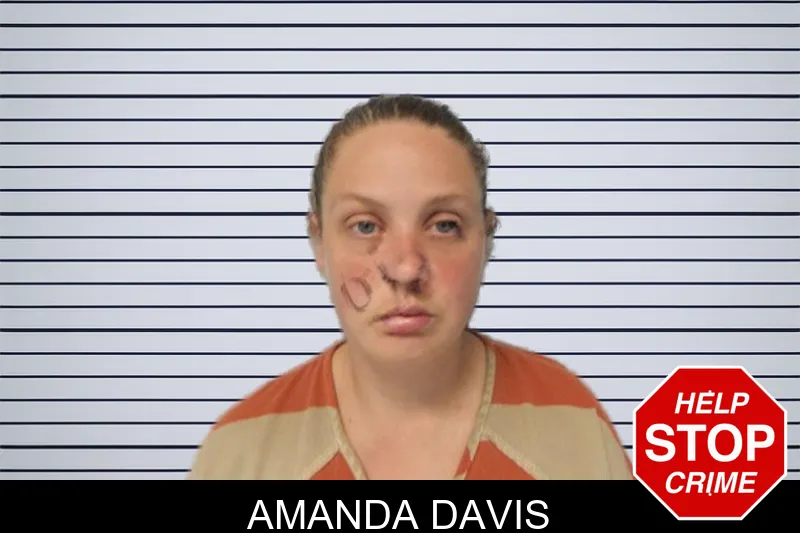 Amanda Davis mugshot – Hall County , Georgia Amanda Davis mugshot