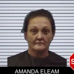 Amanda Eleam mugshot