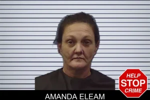 Amanda Eleam mugshot