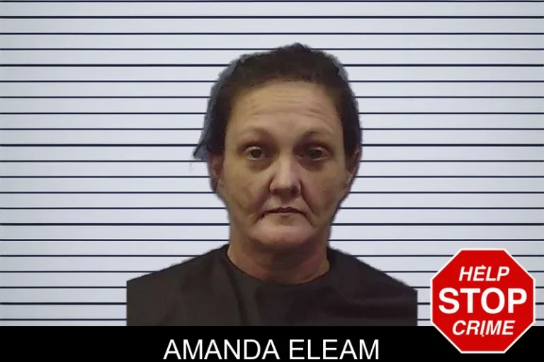 Amanda Eleam mugshot – Chattooga County , Georgia Amanda Eleam