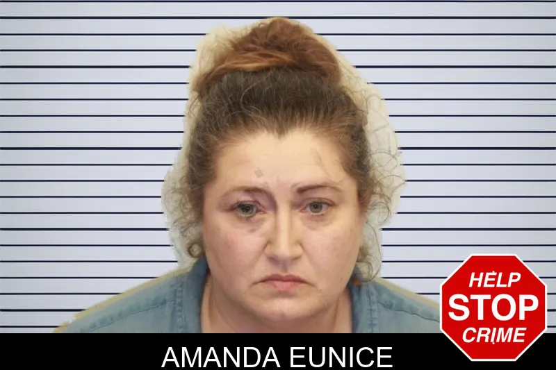 Amanda Eunice mugshot – Chatham County , Georgia Amanda Eunice mugshot