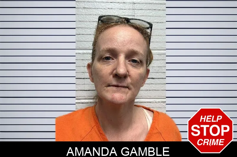 Amanda Gamble mugshot – Dade County , Georgia Amanda Gamble mugshot
