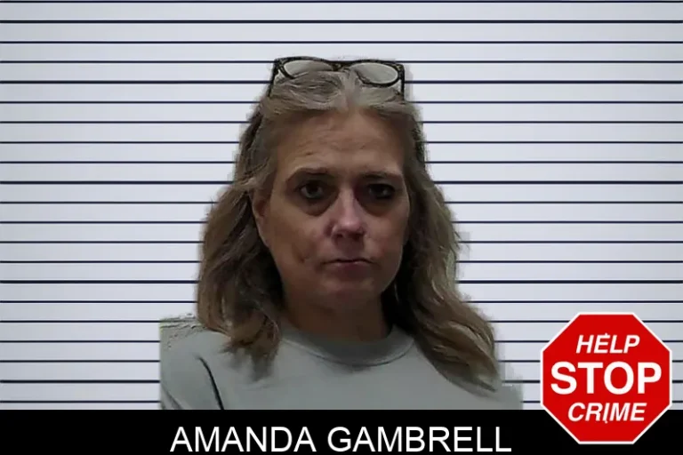 Amanda Gambrell mugshot – Pierce County , Georgia Amanda Gambrell