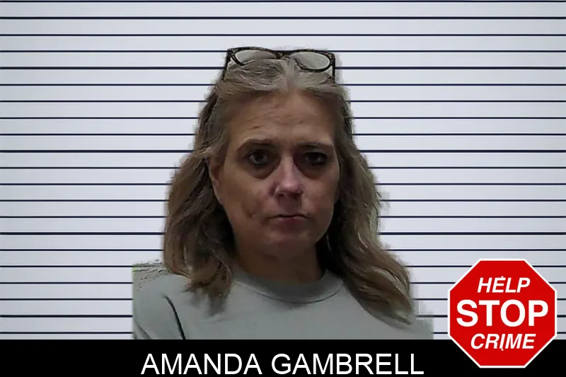 Amanda Gambrell mugshot – Pierce County , Georgia Amanda Gambrell mugshot