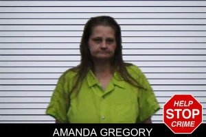 Amanda Gregory mugshot