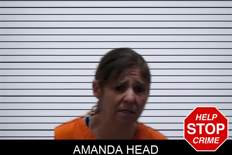 Amanda Head mugshot – Pierce County , Georgia Amanda Head mugshot