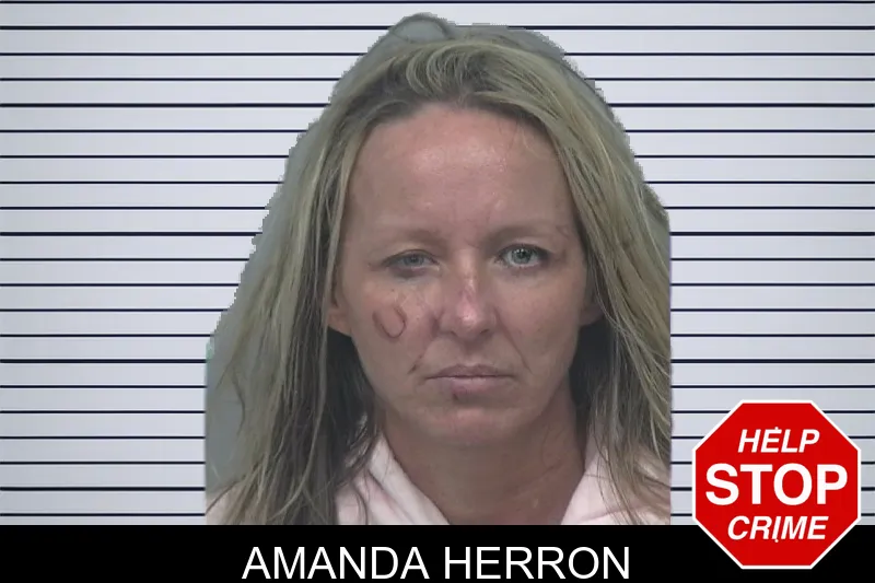 Amanda Herron mugshot