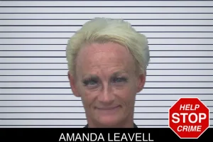 Amanda Leavell mugshot