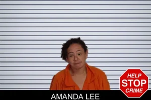 Amanda Lee mugshot