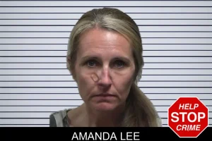 Amanda Lee mugshot
