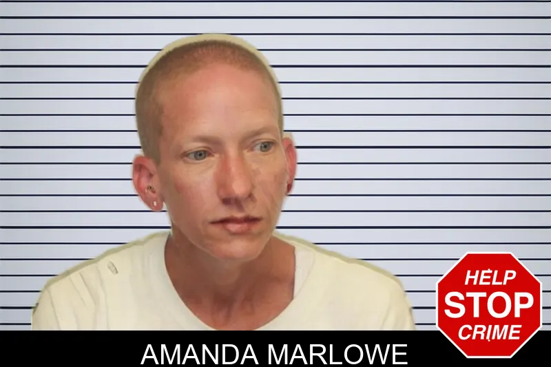Amanda Marlowe mugshot