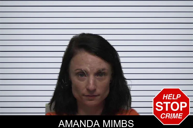 Amanda Mimbs mugshot