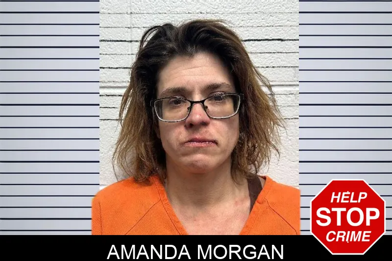Amanda Morgan mugshot