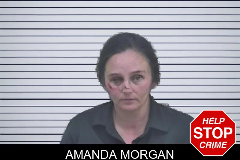 Amanda Morgan mugshot