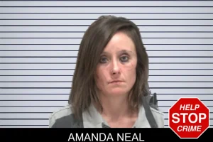 Amanda Neal mugshot