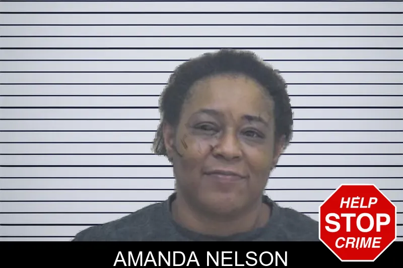 Amanda Nelson mugshot