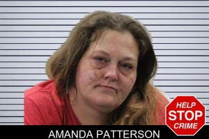 Amanda Patterson mugshot