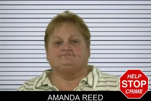 Amanda Reed mugshot