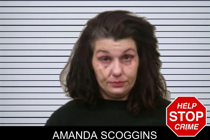 Amanda Scoggins mugshot
