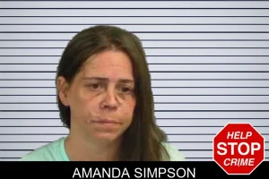 Amanda Simpson mugshot