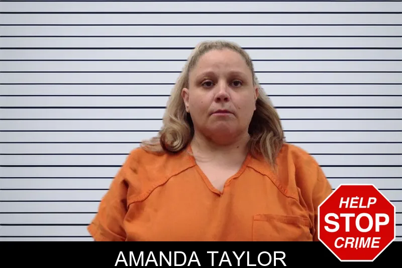 Amanda Taylor mugshot – Bacon County , Georgia Amanda Taylor mugshot