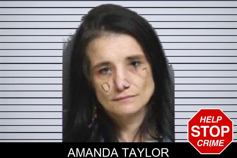 Amanda Taylor mugshot