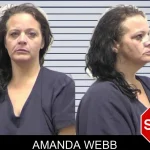Amanda Webb mugshot