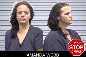Amanda Webb mugshot